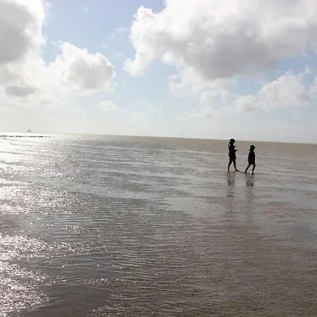 Gowatt North Sea Ferienhaus *